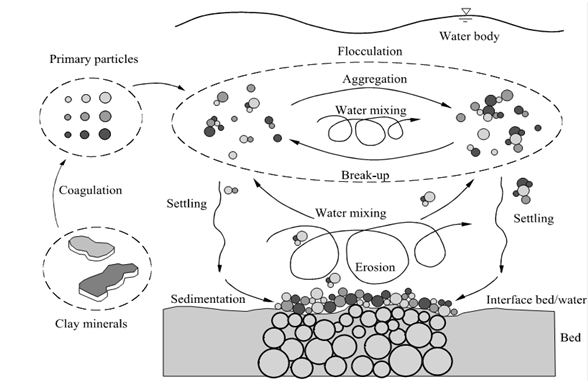 Schematic representation of mud floc dynamics.jpg