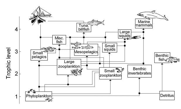 picture of food chain and food web. of a simplified food web,