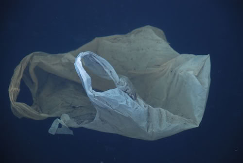 File:Plastic bag in sea.jpg