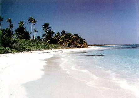 Coral coast with carbonate beach, Mexico.