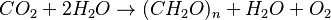 CO_2 + 2 H_2O  \rightarrow (CH_2O)_n + H_2O + O_2