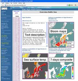 Fig. 2. Default view of the website presenting the Baltic Algae Watch System. Observations, forecasts, model results, reports, previous bloom maps, etc. are found in left menu.