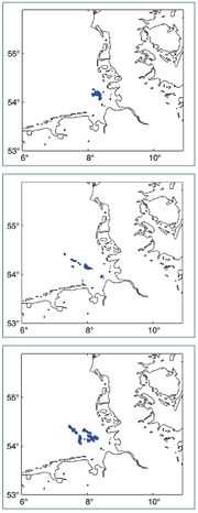 Figure 5: Location of the novelty found on July 30th 2004, August 3rd 2004 and August 5th 2004 indicated in blue.