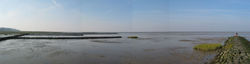 Figure 5 Sediments at low tide of the Wadden Sea area at Cuxhaven (Germany).  This area is affected by the discharge of freshwater. The discharge occurs at distinct spots (“sand boils”) and as diffuse flow through sediments.
