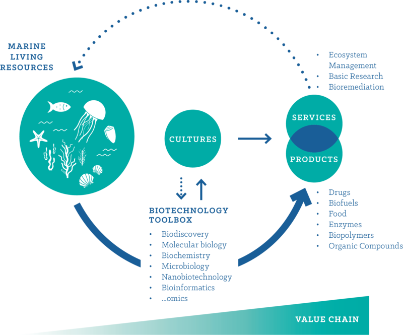 Marine Biotechnology Coastal Wiki