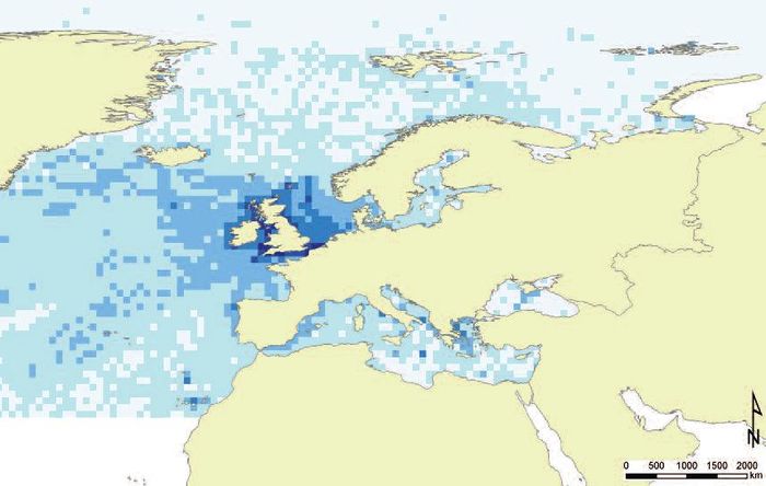  Overview of the species coverage in EurOBIS. On a fine scale (1x1 degree) our knowledge of the diversity of life is still very sketchy (or even non-existent: see grey areas on map).