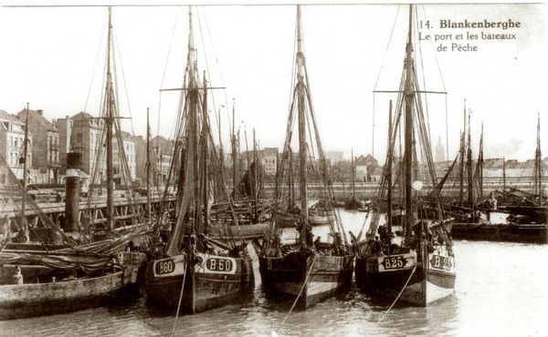 Fig.1. Fishing fleet in Blankenberge (±1920
