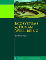 Synthesis Reports