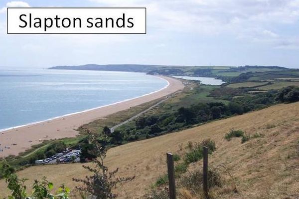 Slapton case study 06 picture