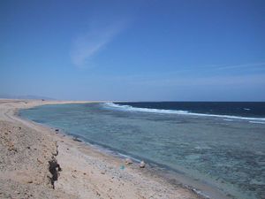 Characteristics Of Sedimentary Shores Coastal Wiki