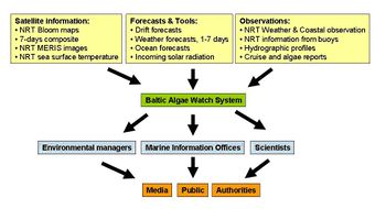 Fig. 3. Sources of information assembled in the Baltic Algae Watch System and the main end users.