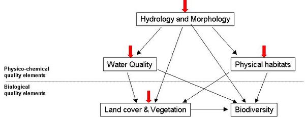 Figure 1. Interrelationships between the different physico-chemical and biological quality categories which control the ecological status of a water body. The red arrows indicate the possibility to retrieve quality data by remote sensing.
