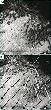 Figure 3: SAR image acquired by the European satellite ERS-1 in the marginal ice zone off the coast of Spitzbergen. a) The mask that results from filtering and b) wind directions resulting from the LG method with (black arrows) and without (white arrows) consideration of the filter.