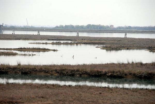 Coastal lagoon - Coastal Wiki
