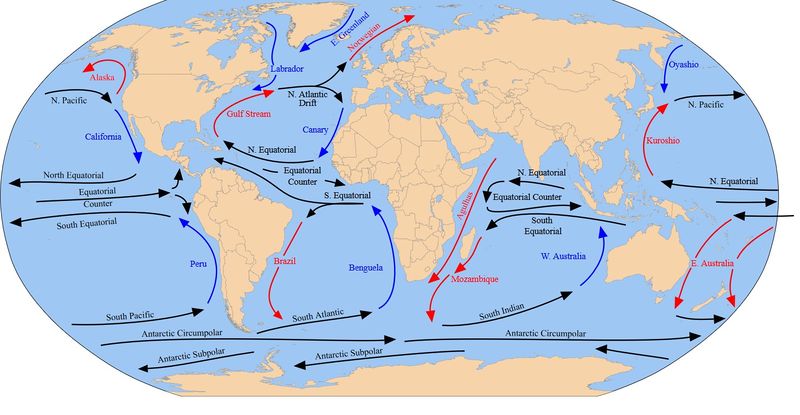 Ocean Circulation Coastal Wiki