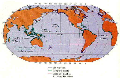 File:Mangrove map imp.jpg