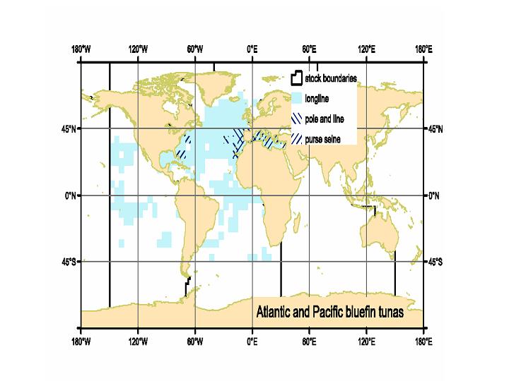 File:Distribution of the Atlantic and Pacific bluefin tunas.jpg