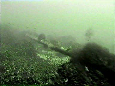 UWVideo Cableinspection.jpg