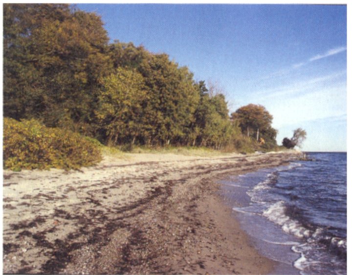 File:Mod exposed a.jpg