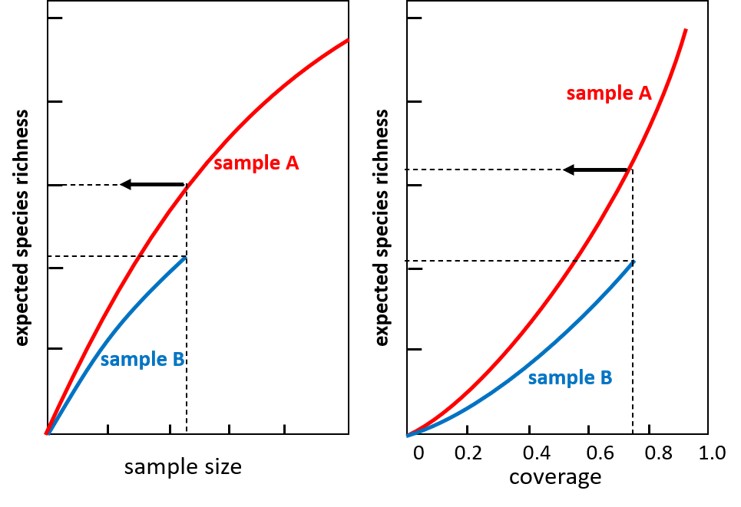 File:Size Coverage Curves.jpg