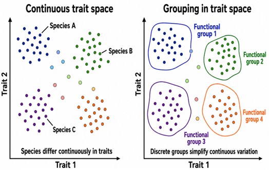 File:TraitSpace.jpg