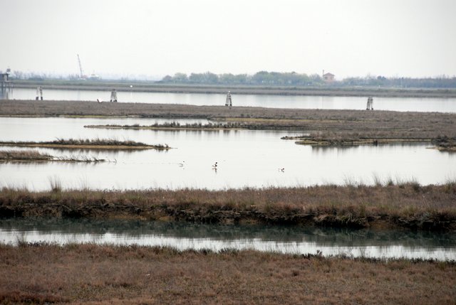 Venice Lagoon 001.JPG