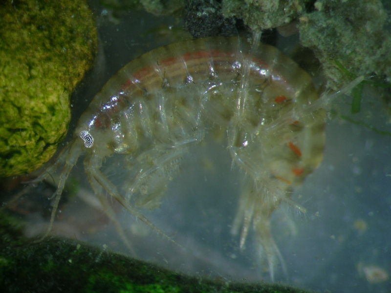 File:Tim Worsfold.jpg