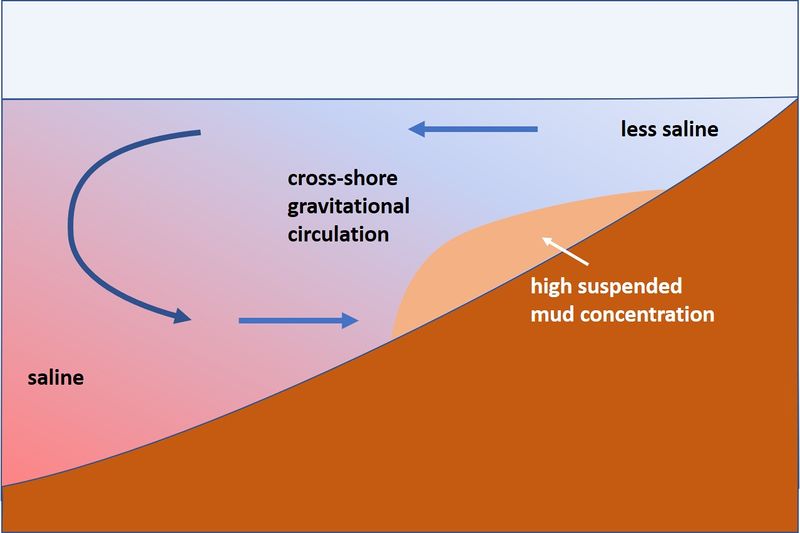 File:CrossShoreGravitationalCirculation.jpg