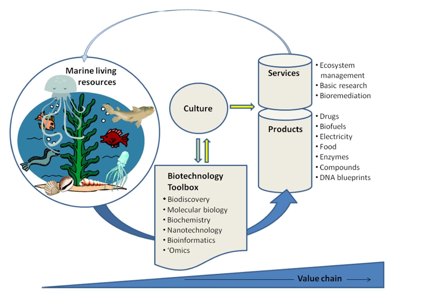 File:Biotech.jpg - Coastal Wiki
