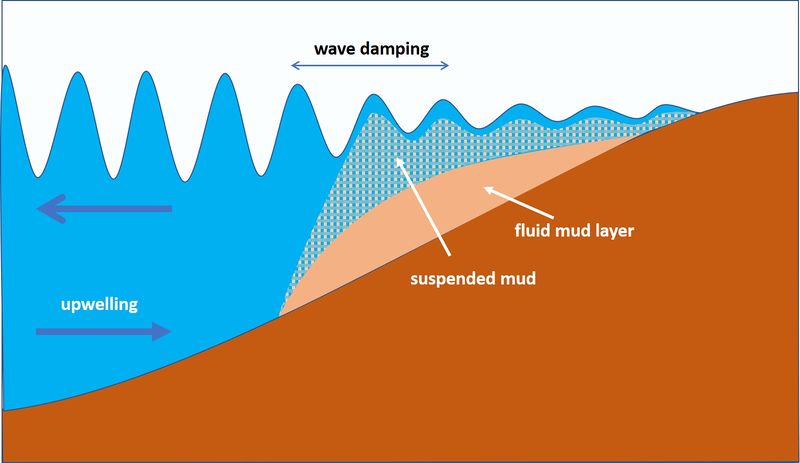 File:FluidMudWaveDamping1.jpg
