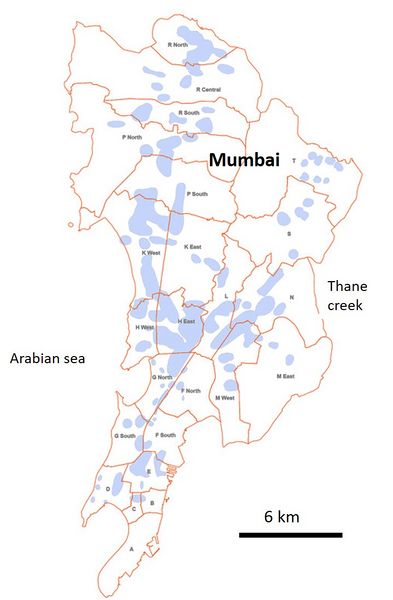 File:MumbaiFlood2005.jpg