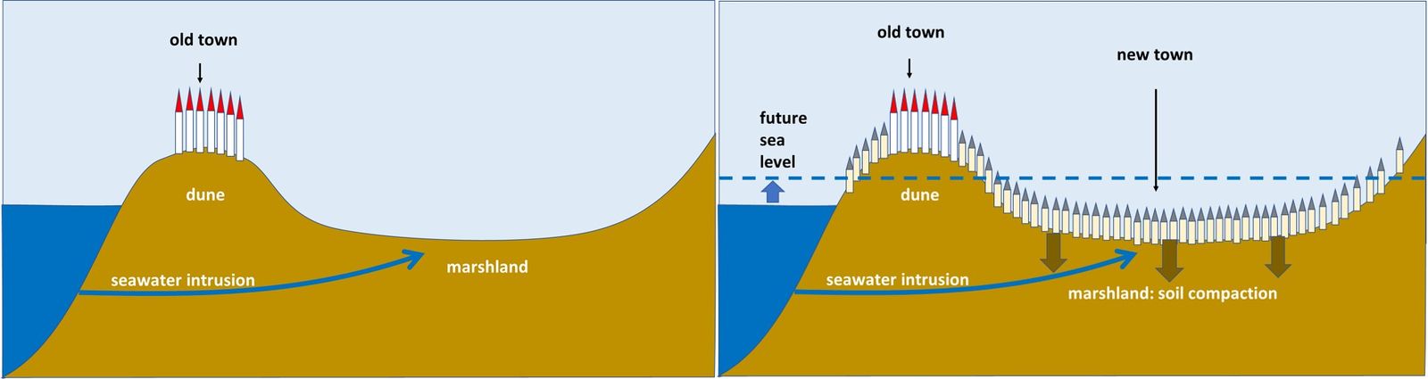 Coastal cities and sea level rise - Coastal Wiki