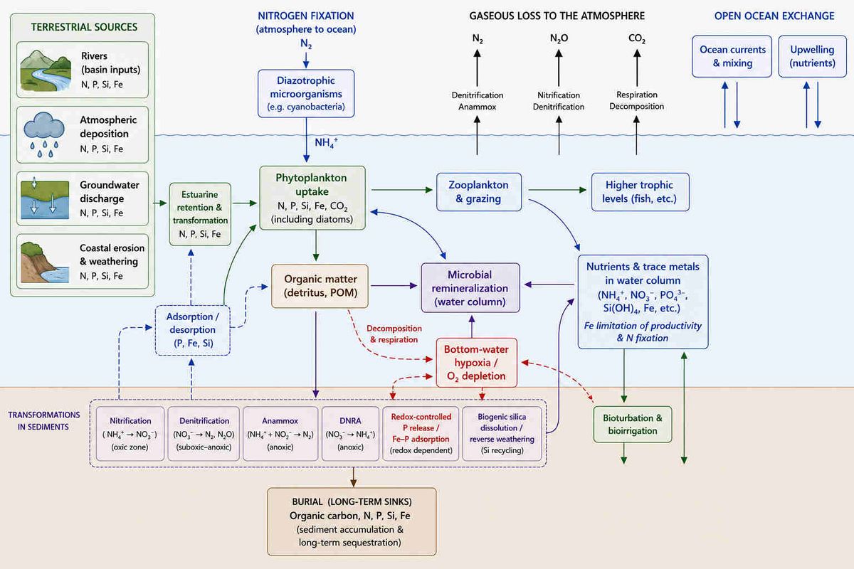 Nutrient conversion in the marine environment - Coastal Wiki