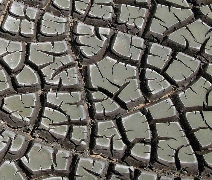 File:MudCracks.jpg