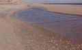 BeachRunnel.jpg