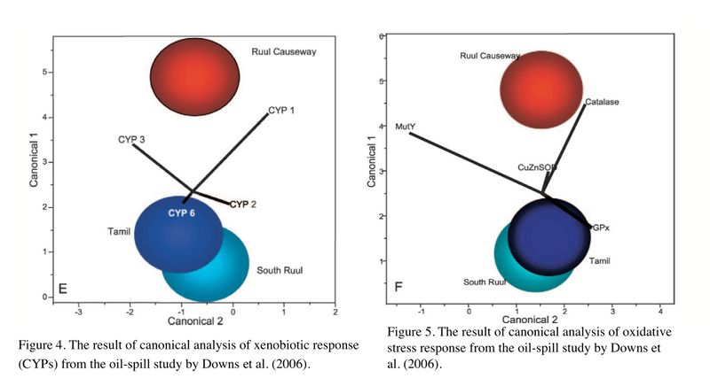 File:Coral Ecotox Fig4-5.jpg