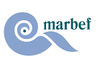 Marbef.jpg