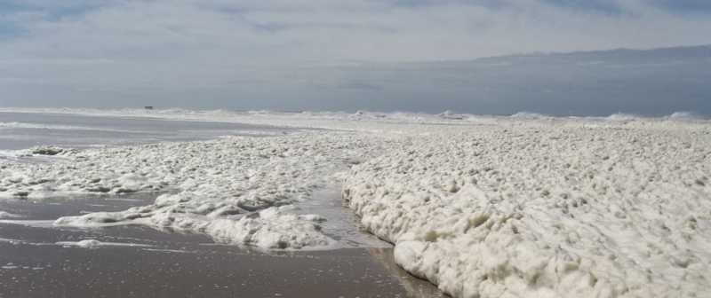 File:Foambeachphaeo.png