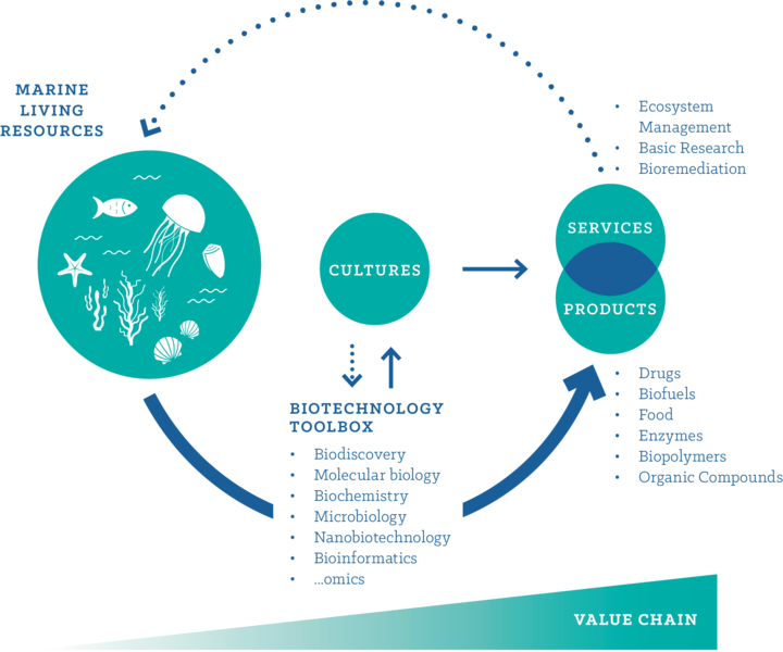 File:MBT 2014 Diagram.png