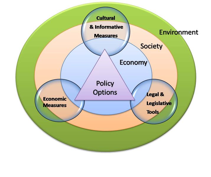 File:Policy options new copia.jpg