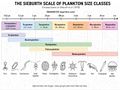 Thumbnail for version as of 23:07, 22 July 2026