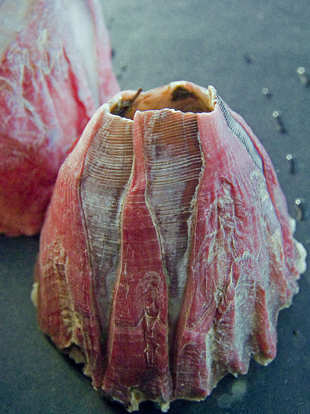 File:Grote roze zeepok.jpg