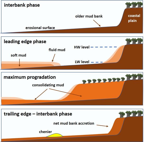 File:BankAccretionCycle.jpg
