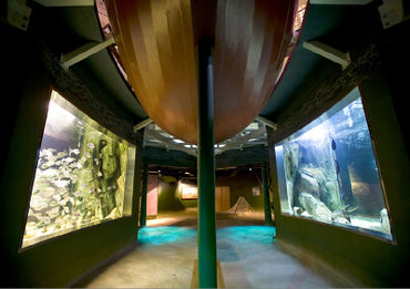 Fig 6. aquarium Navigo - Bron NAVIGO - Nationaal Visserijmuseum, Gemeente Koksijde.jpg