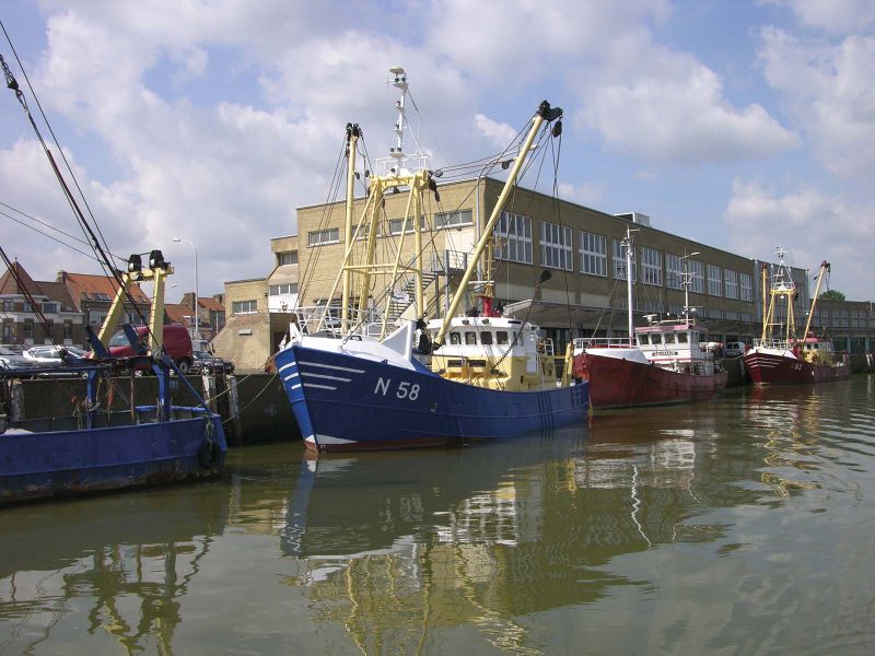 File:Fish auction Nieuwpoort.jpg