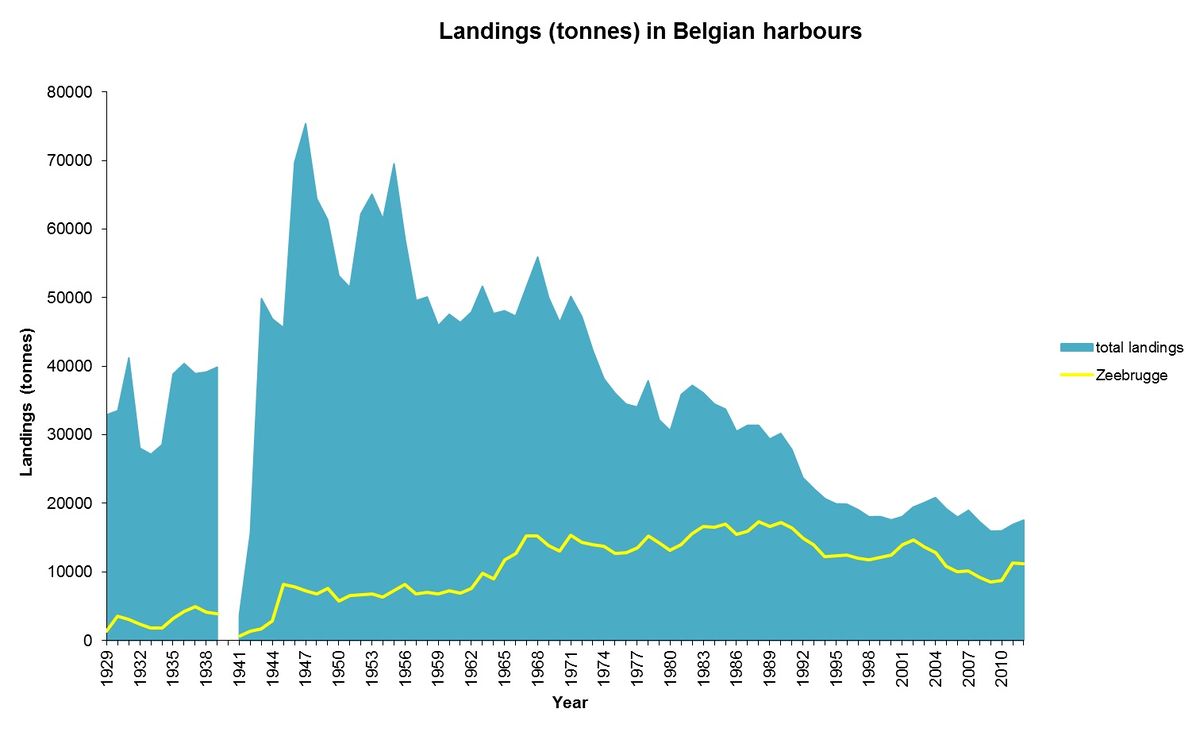 Fisheries in Zeebrugge Coastal Wiki