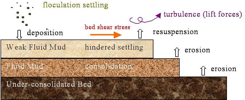File:Cohesive sediment.jpg