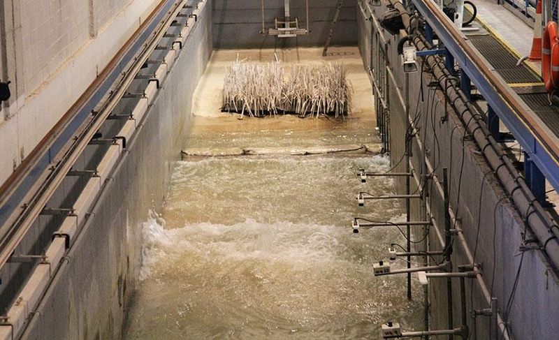 File:PosidoniaWaveDampingFlume.jpg