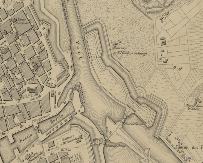 Avanzo Valcke De Knuyt.png