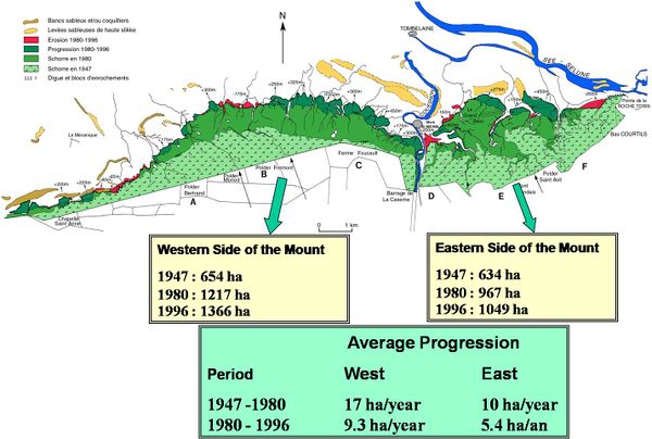 Fig.5 : Salt marshes evolution (progradation and erosion) between 1947, 1980 and 1996.